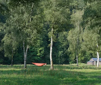 Yoga zomerstage 2026 in de Ardennen, foto 4